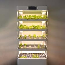 Hydroponik Pflanzregal „Grow-Up“