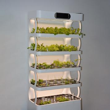Hydroponik Pflanzregal „Grow-Up“