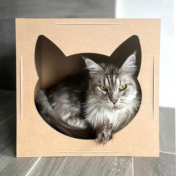 Katzenhaus aus Naturkarton