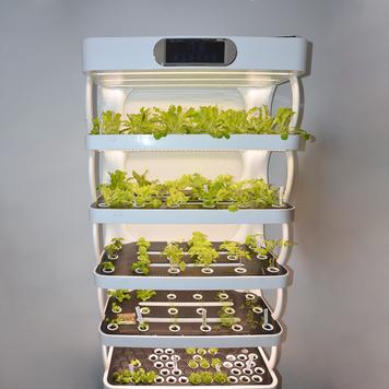 Hydroponik Pflanzregal „Grow-Up“