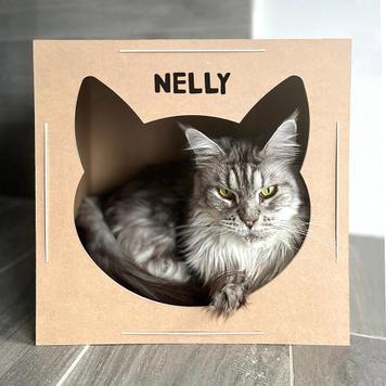 Katzenhaus aus Naturkarton