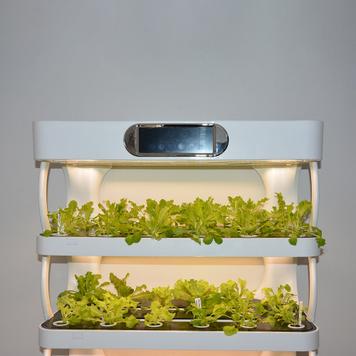 Hydroponik Pflanzregal „Grow-Up“