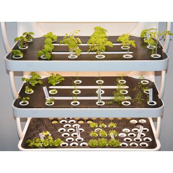 Hydroponik Pflanzregal „Grow-Up“