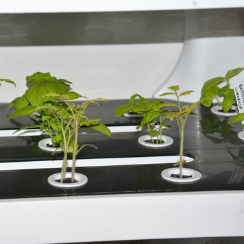 Hydroponik Pflanzregal „Grow-Up“