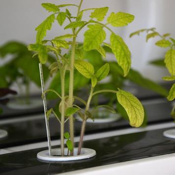 Hydroponik Pflanzregal „Grow-Up“